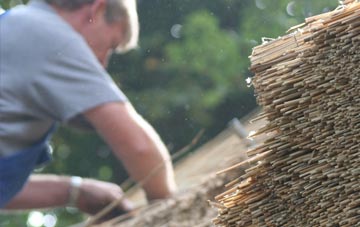 professional Landport thatchers